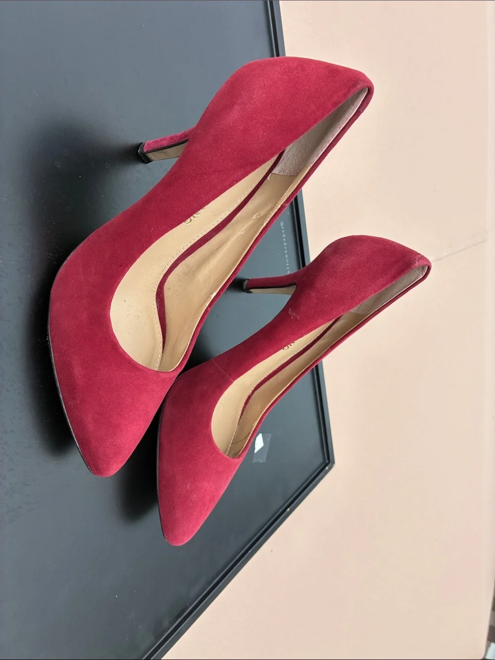 Arturo Chiang Burgundy Suede Pointed Toe Stiletto Pumps